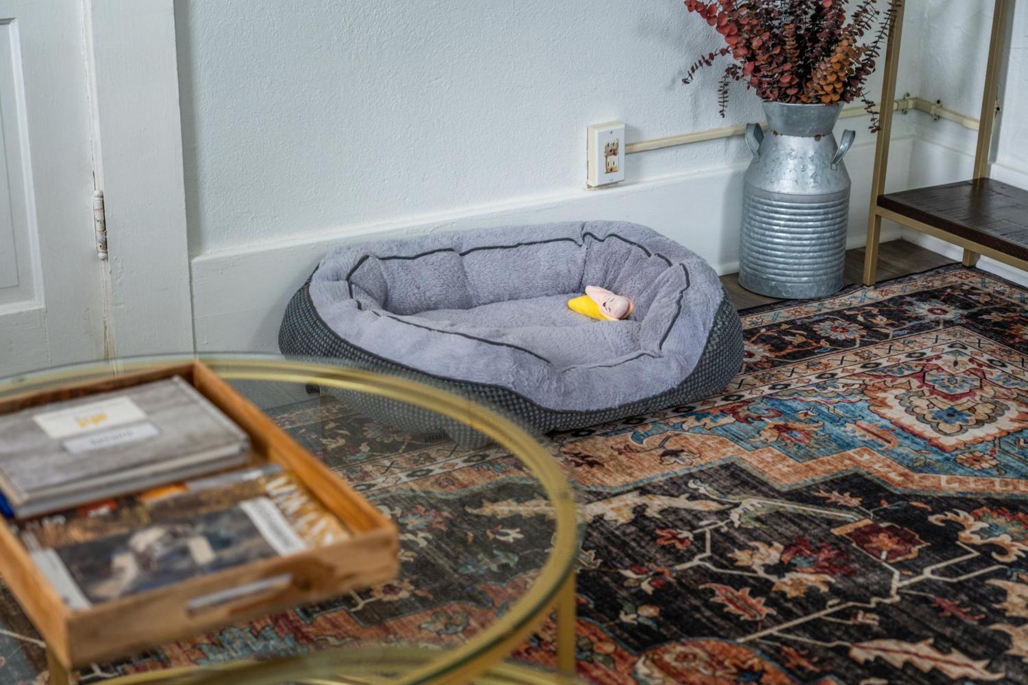 Cedar Blossom Bungalow Is A Cozy Getaway With A 5 Minute Walk To Downtown! Hot Springs Bagian luar foto
